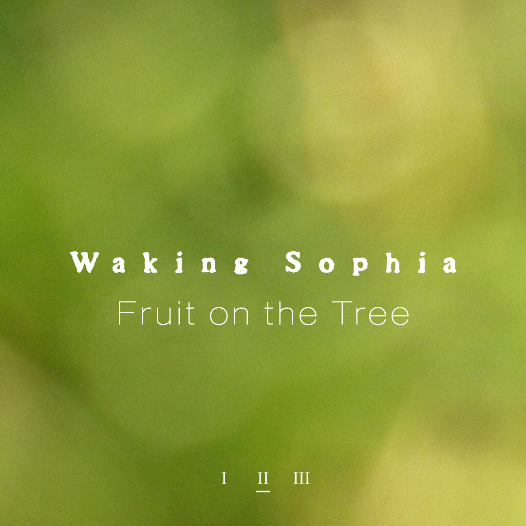 Fruit on the Tree single cover art